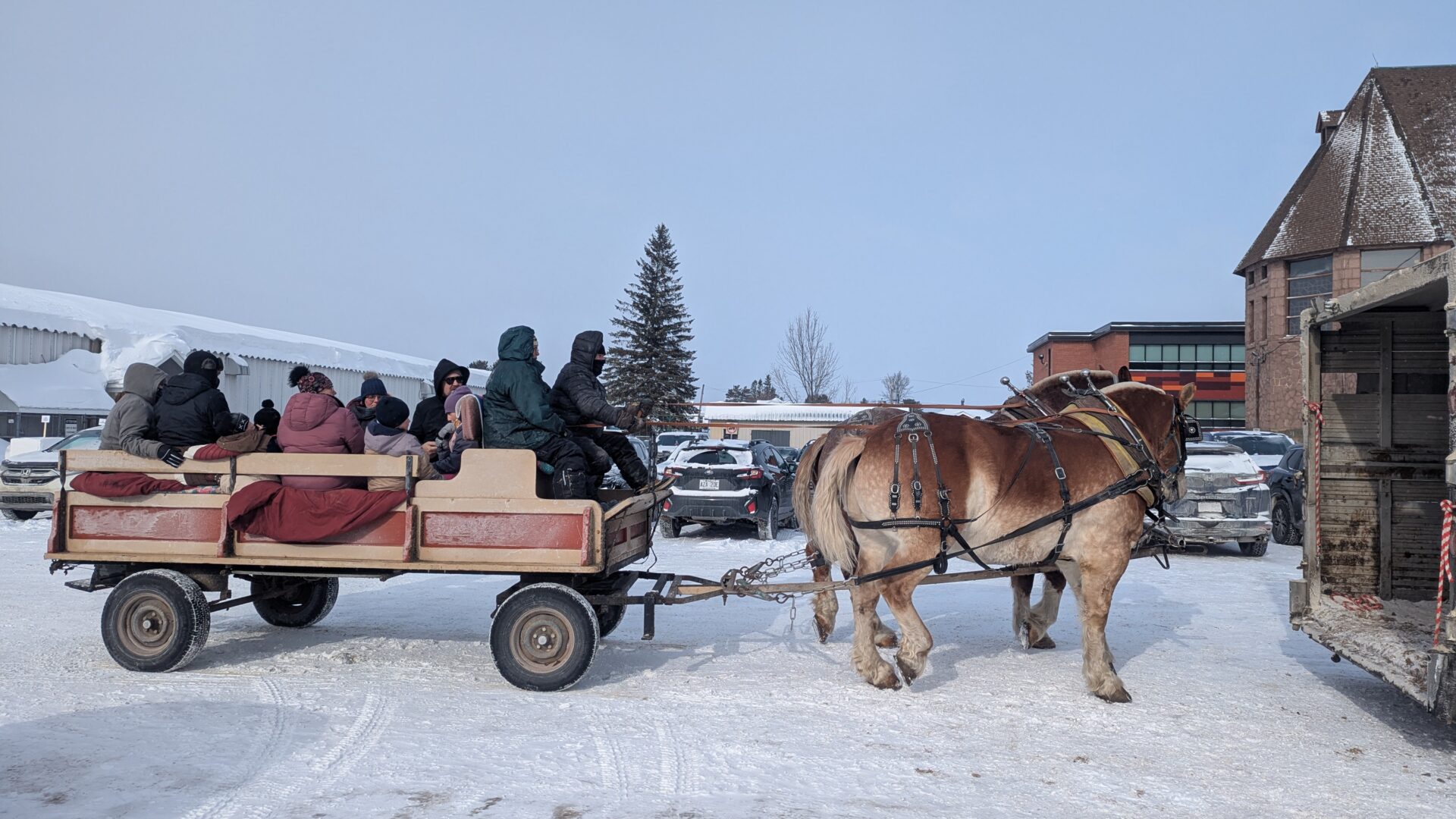 Le carnaval de Ferme-Neuve a attirer les citoyens malgré le froid. Photo gracieuseté Municipalité de Ferme-Neuve