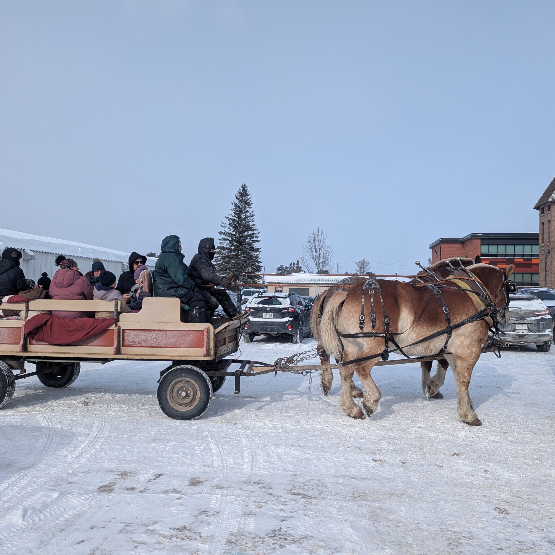 Le carnaval de Ferme-Neuve a attirer les citoyens malgré le froid. Photo gracieuseté Municipalité de Ferme-Neuve