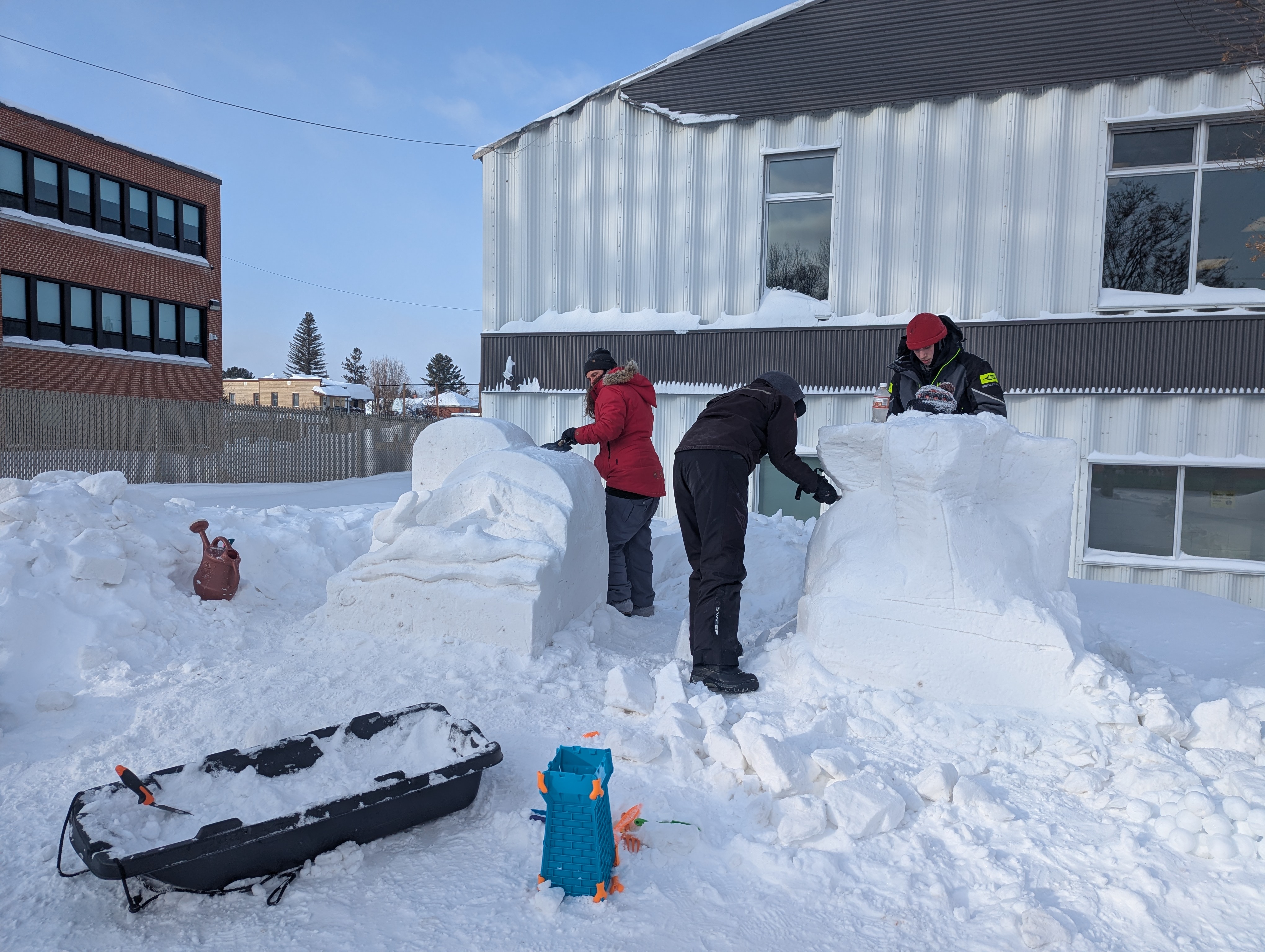 Le carnaval de Ferme-Neuve a attirer les citoyens malgré le froid. Photo gracieuseté Municipalité de Ferme-Neuve