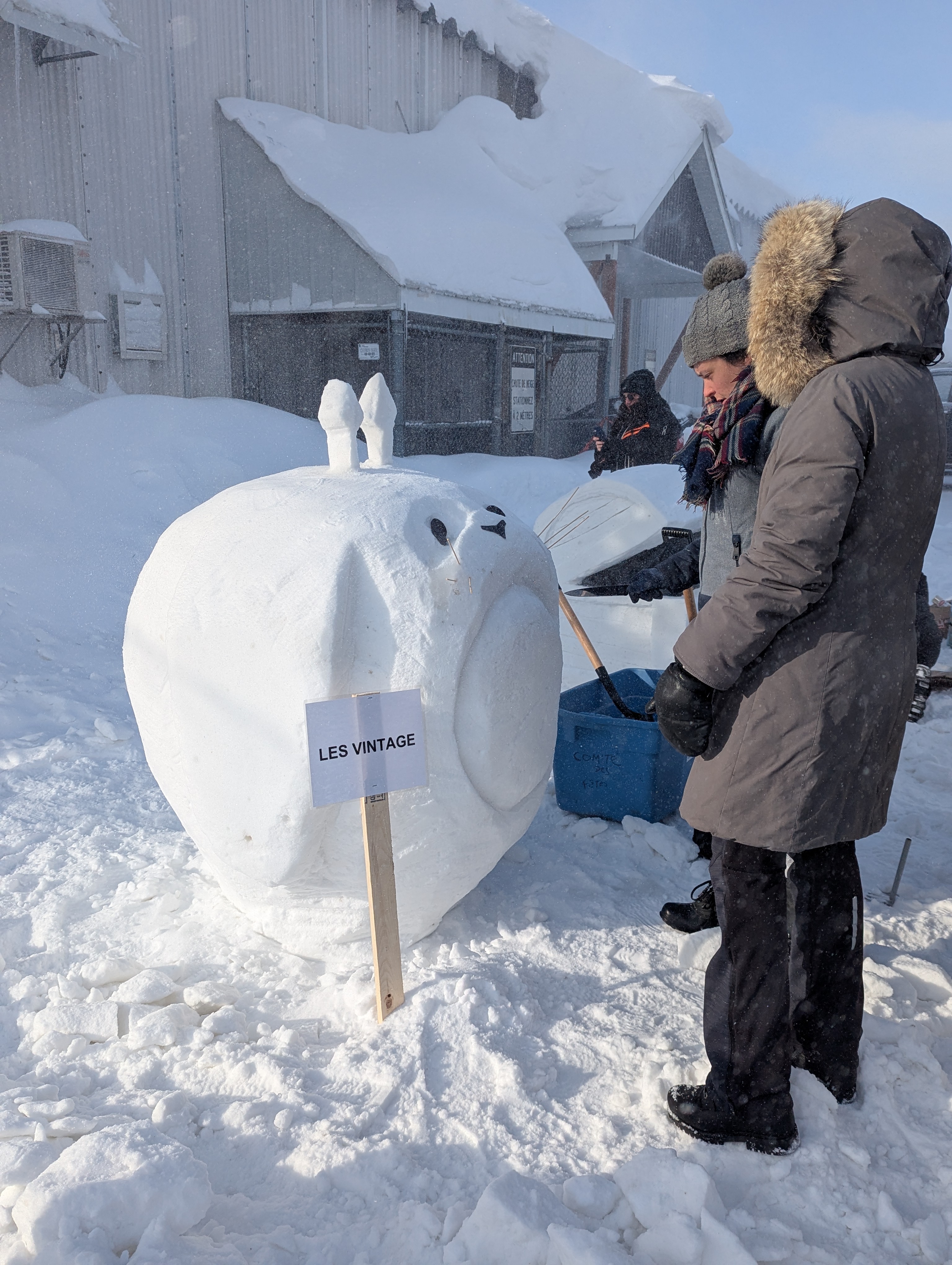 Le carnaval de Ferme-Neuve a attirer les citoyens malgré le froid. Photo gracieuseté Municipalité de Ferme-Neuve