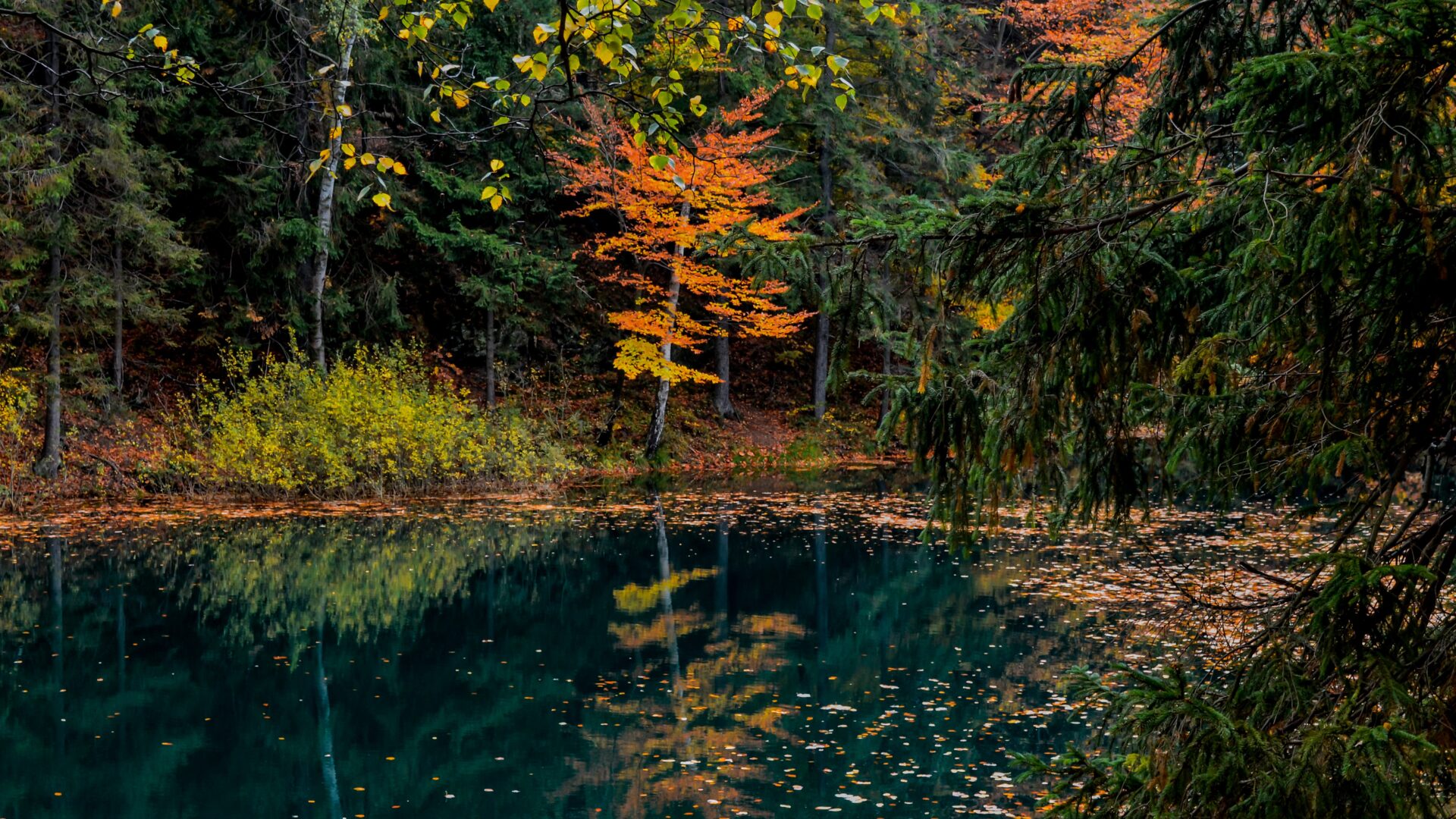Des corridors écologiques vitaux seront pérennisés dans les Laurentides, aussi en Outaouais.
(Photo Pixabay)