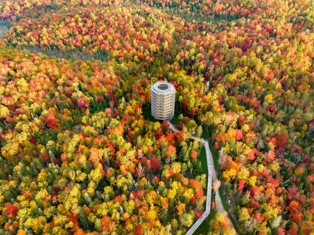 Photo:  Daniel Desmarais