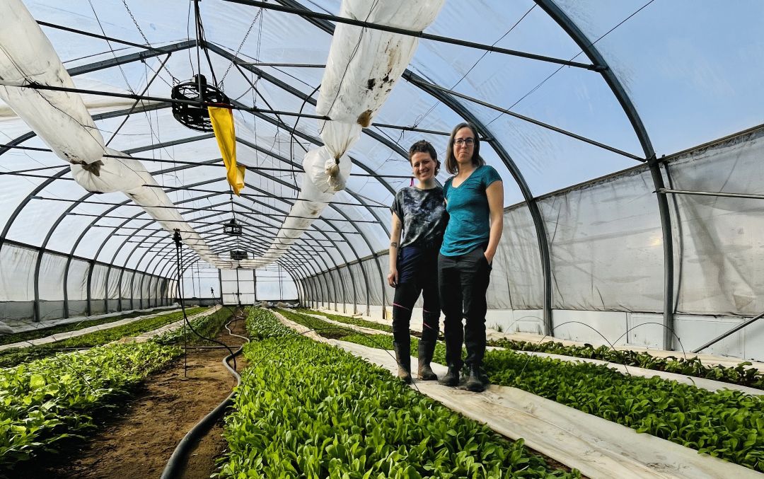 Photo: Médialo -Patrice Francœur 