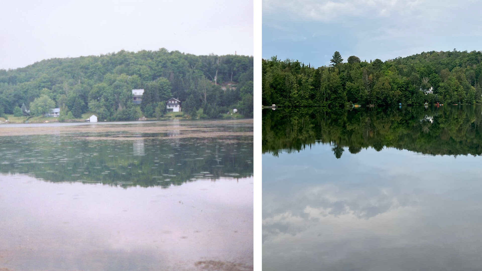 La photo de gauche a été prise vers 1995. Le myriophylle couvre alors environ 70 % de la surface du lac. À noter aussi les grands espaces gazonnés qui bordent le lac. Celle de droite a été prise en juillet 2026. Le myriophylle y est invisible et les espaces gazonnés (presque) disparues.

Photo ARPEC
