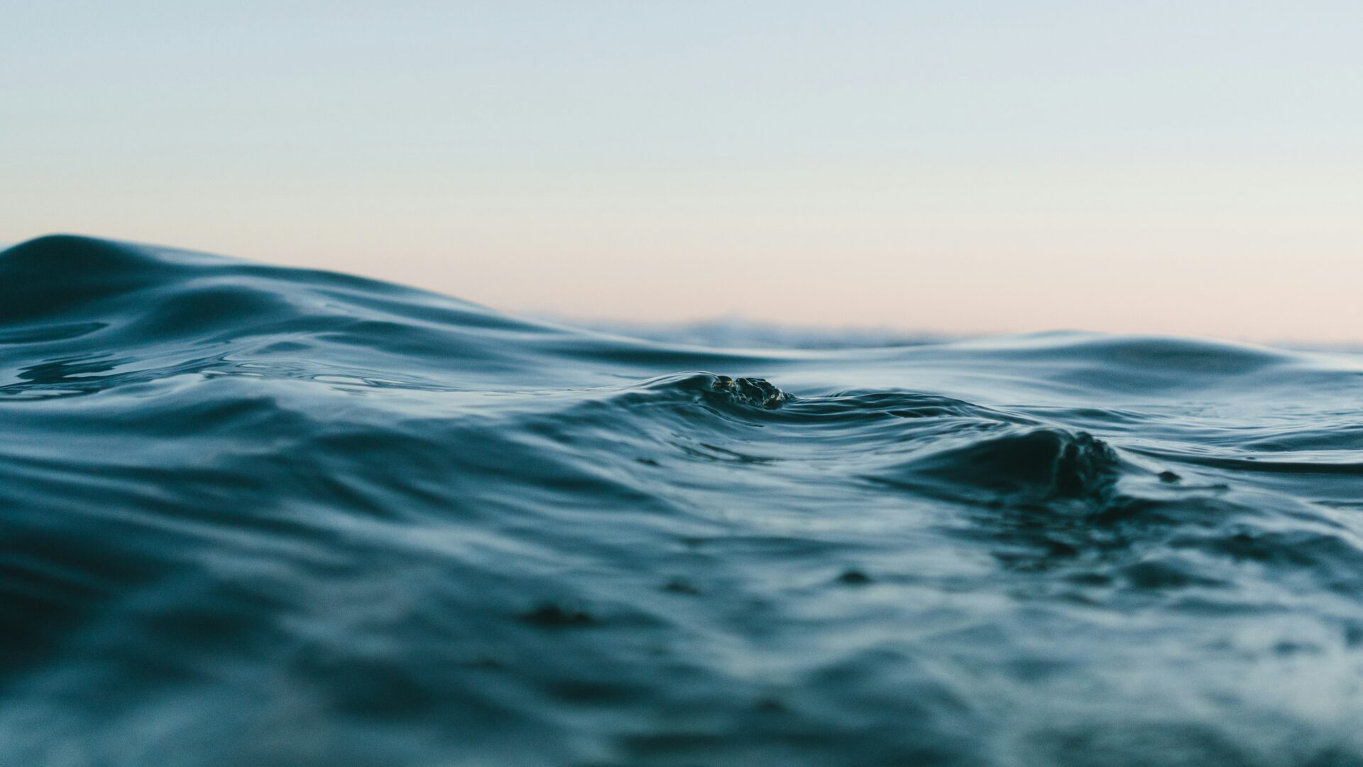 Photo Unsplash