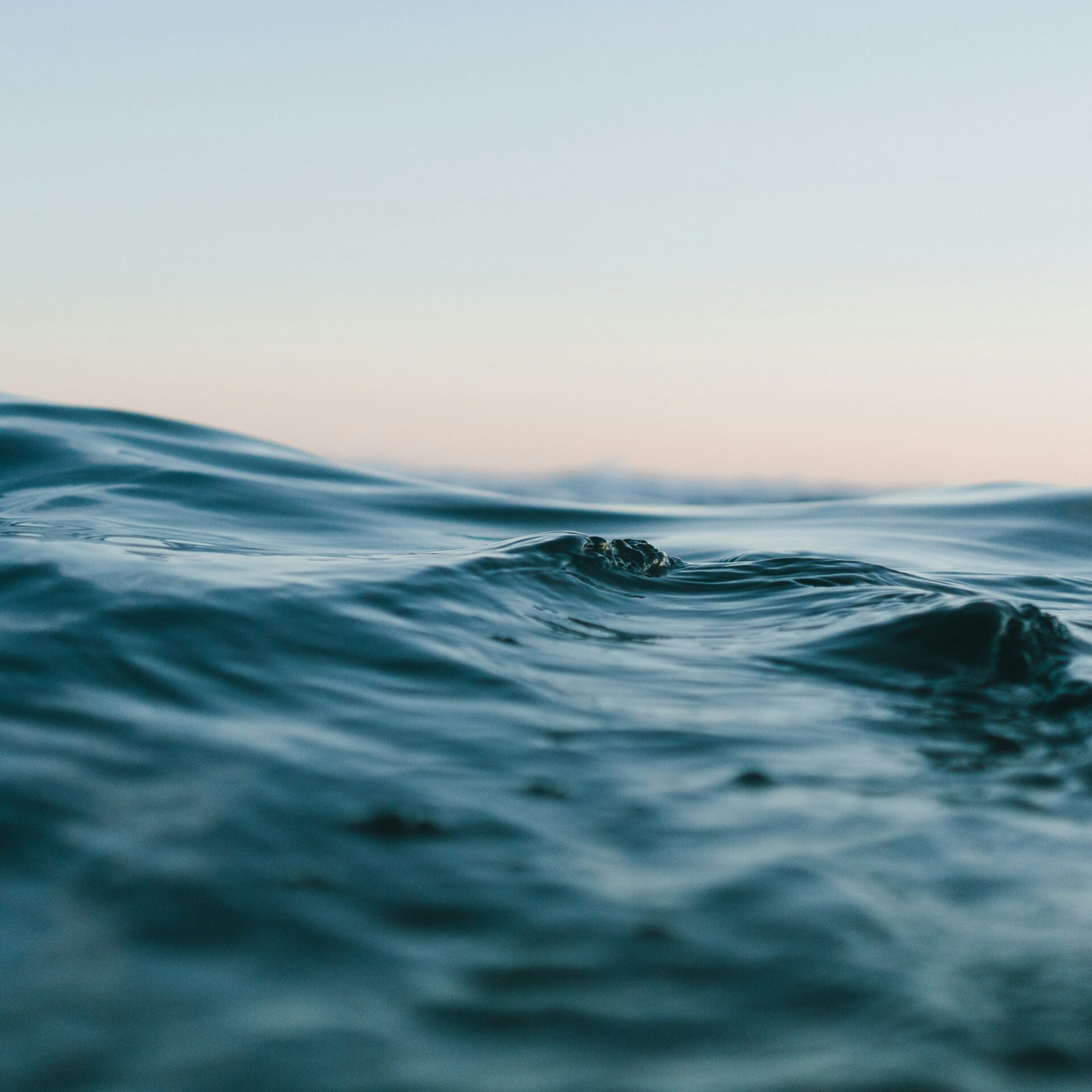 Photo Unsplash