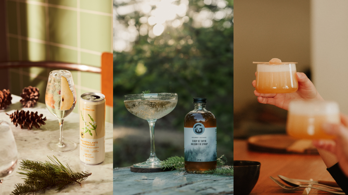 (Photos : Harrington | Valérie Lacroix - Gourmet Sauvage | Maison de Soma)
