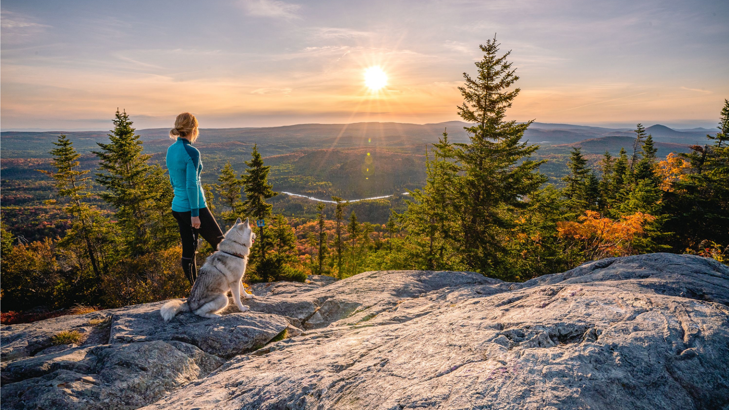 Accès nature est un projet qui a été lancé en 2024 et qui est financé par le gouvernement du Québec.
(Photo gracieuseté)