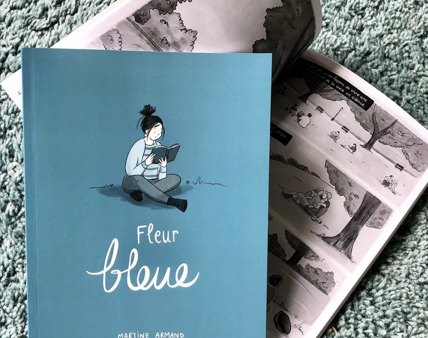 Extrait de Fleur bleue de Martine Armand. Photo gracieuseté 