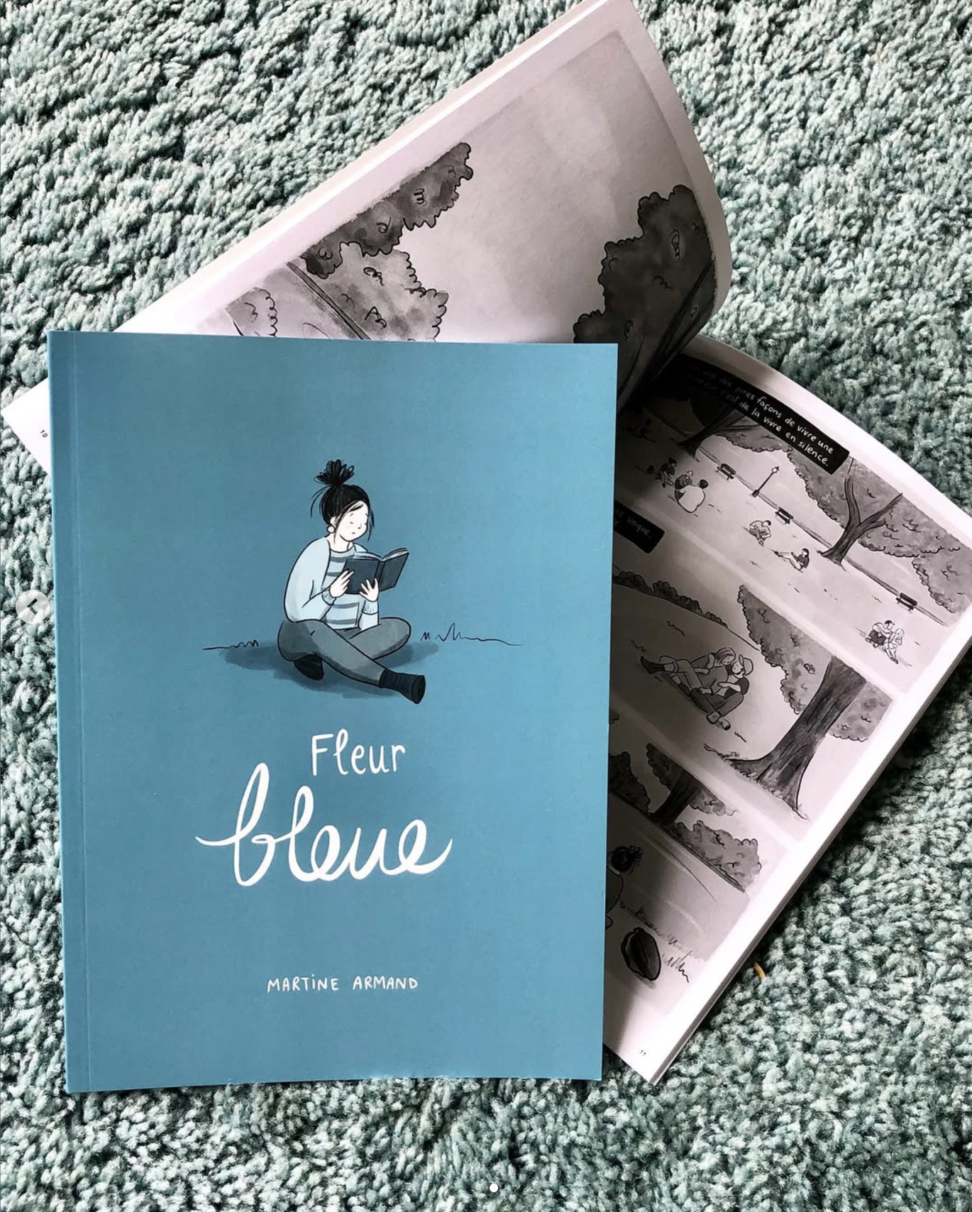 Extrait de Fleur bleue de Martine Armand. Photo gracieuseté 