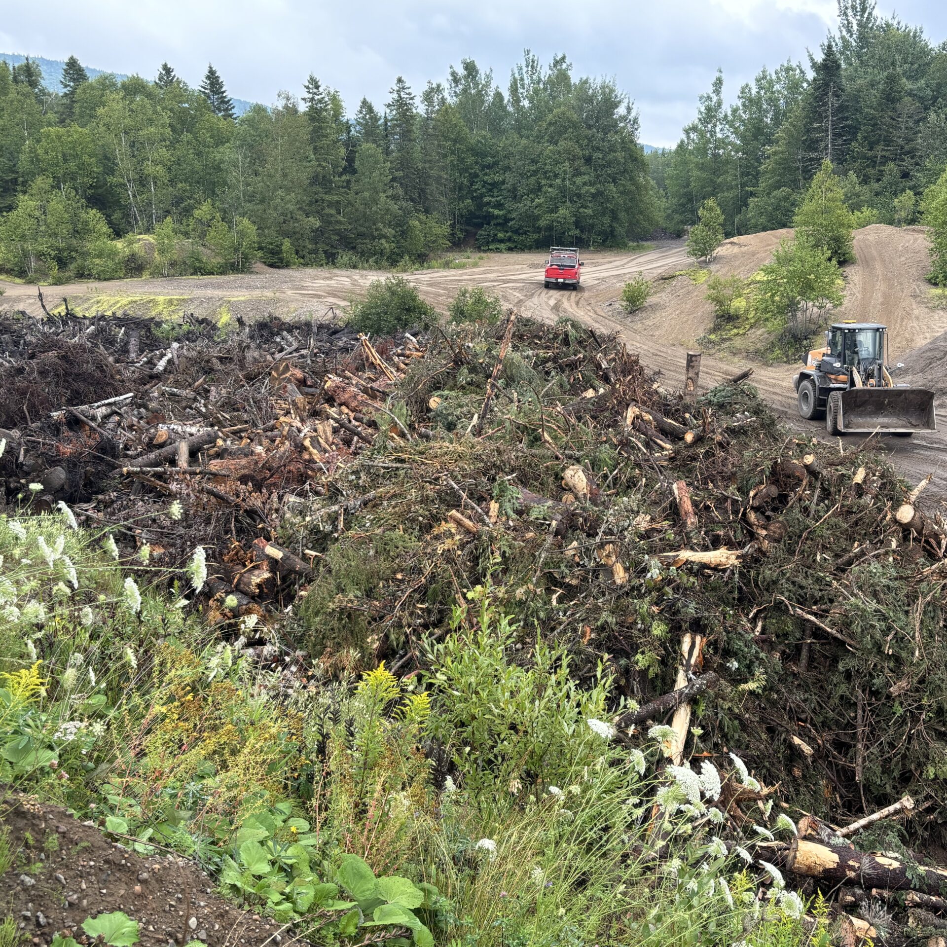 Les pluies diluviennes et la tornade des 20 et 21 juillet ont généré d’importants dégâts à Saint-Donat. Photo gracieuseté 