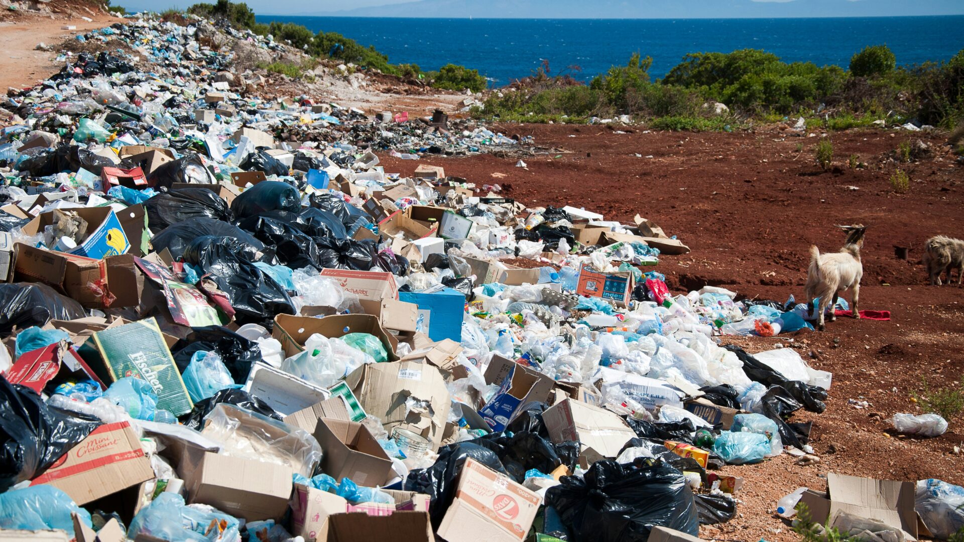 Il reste beaucoup de travail à faire pour éviter l’enfouissement des déchets.  Photo Unsplash 