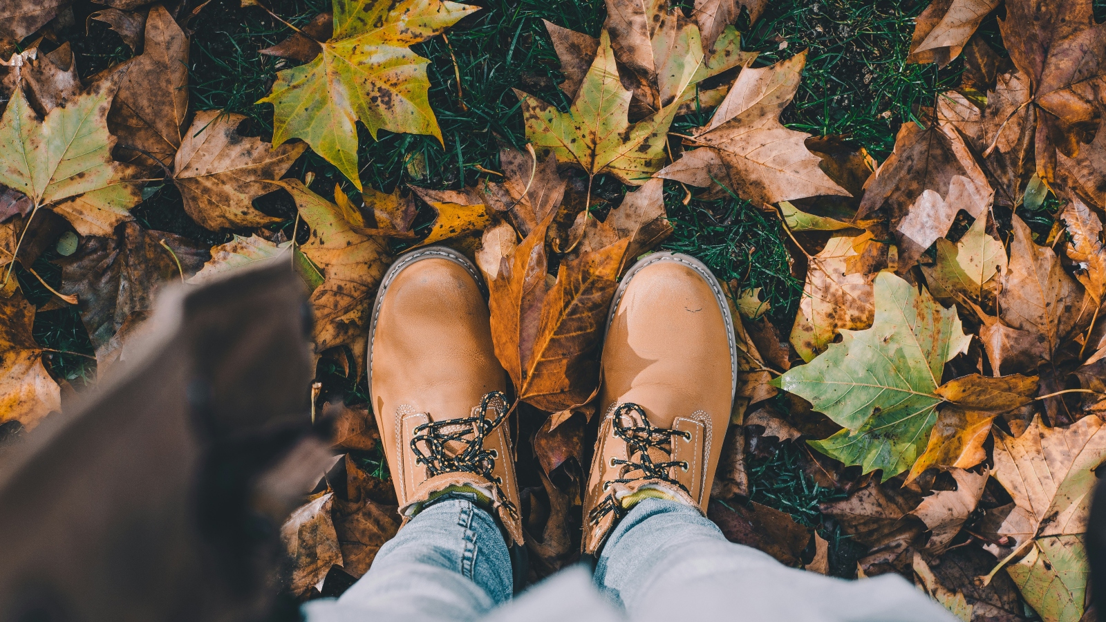 Photo Unsplash