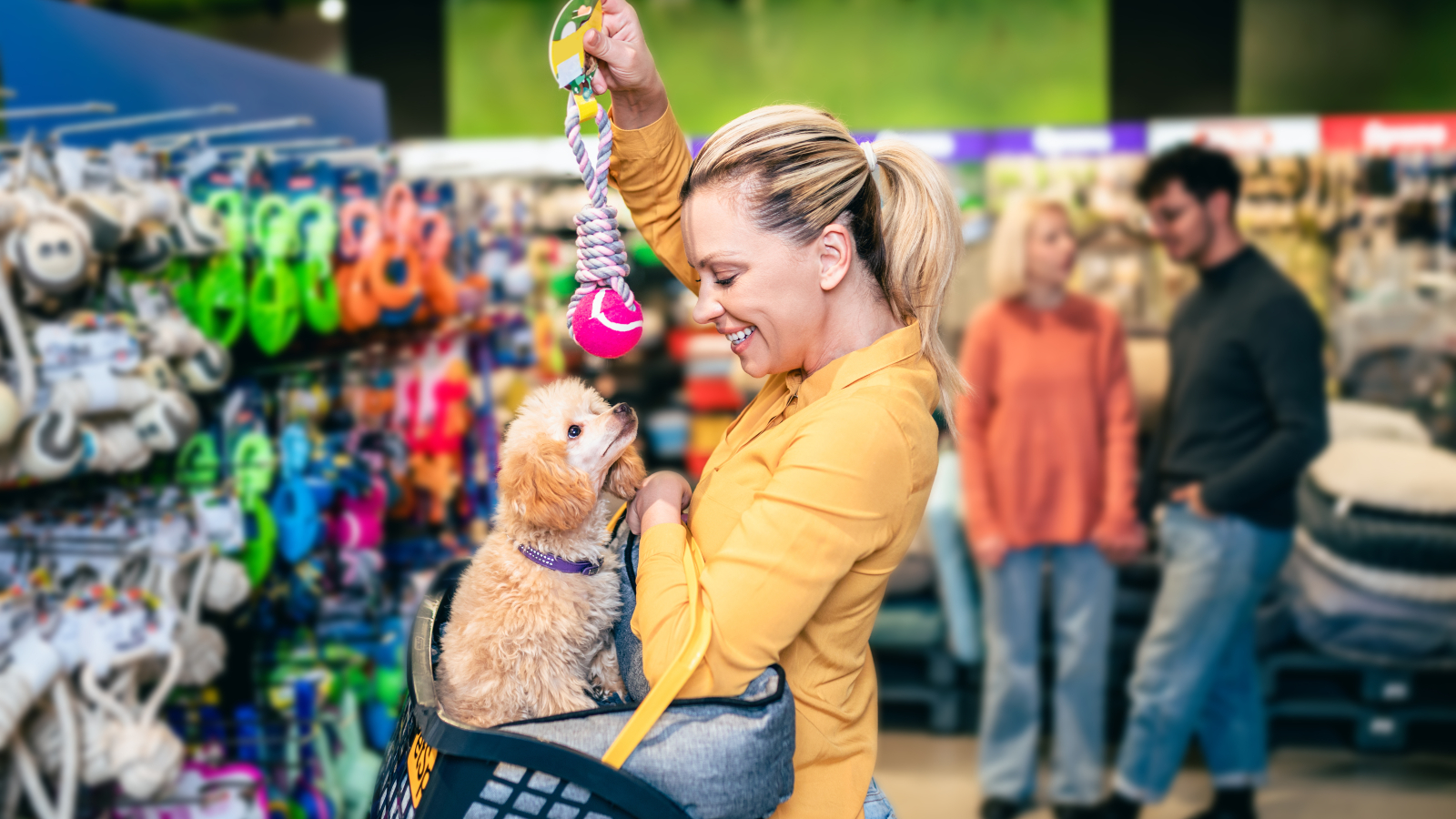 Photo Adobe Stock
