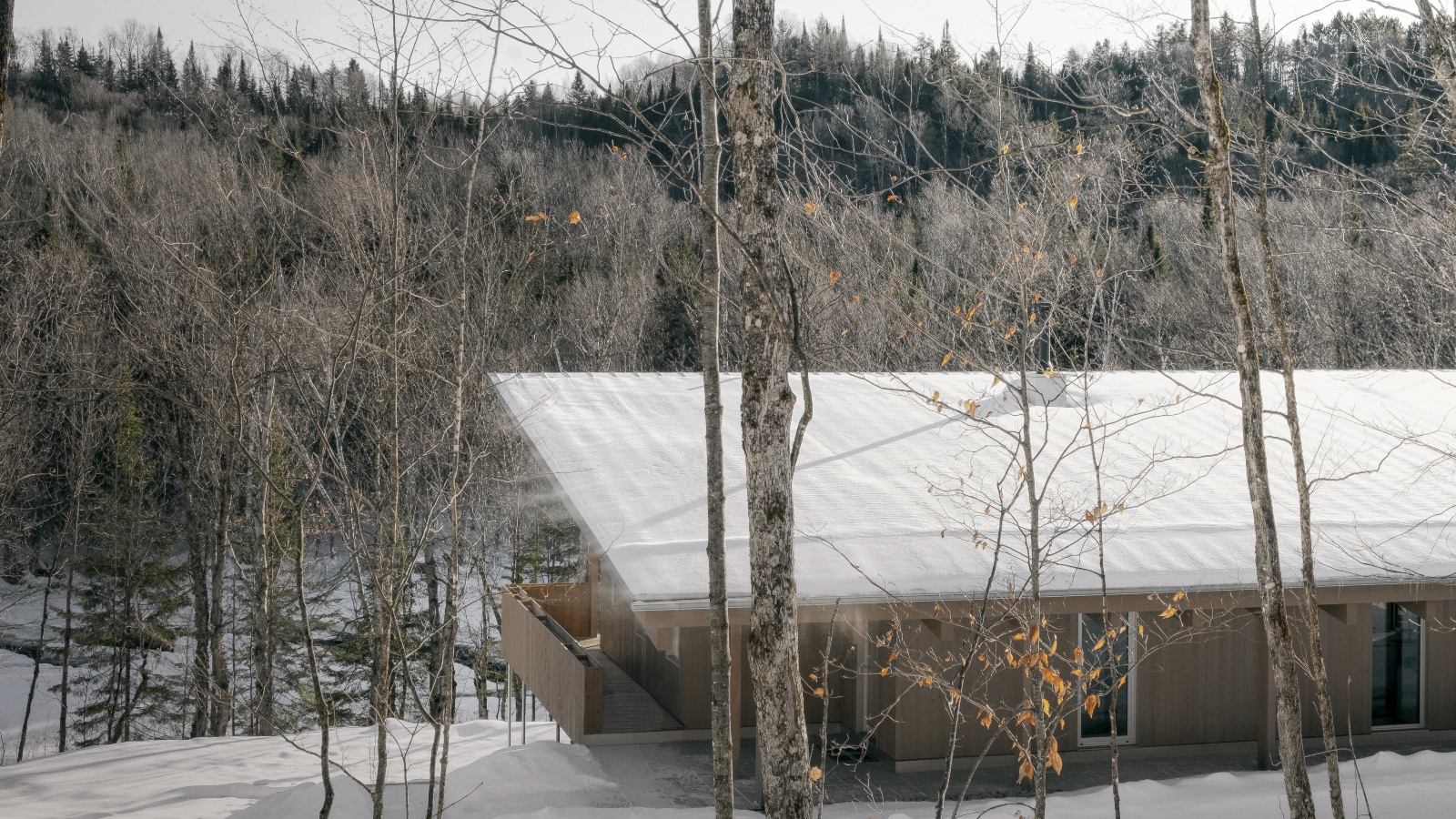 Photo Felix Michaud