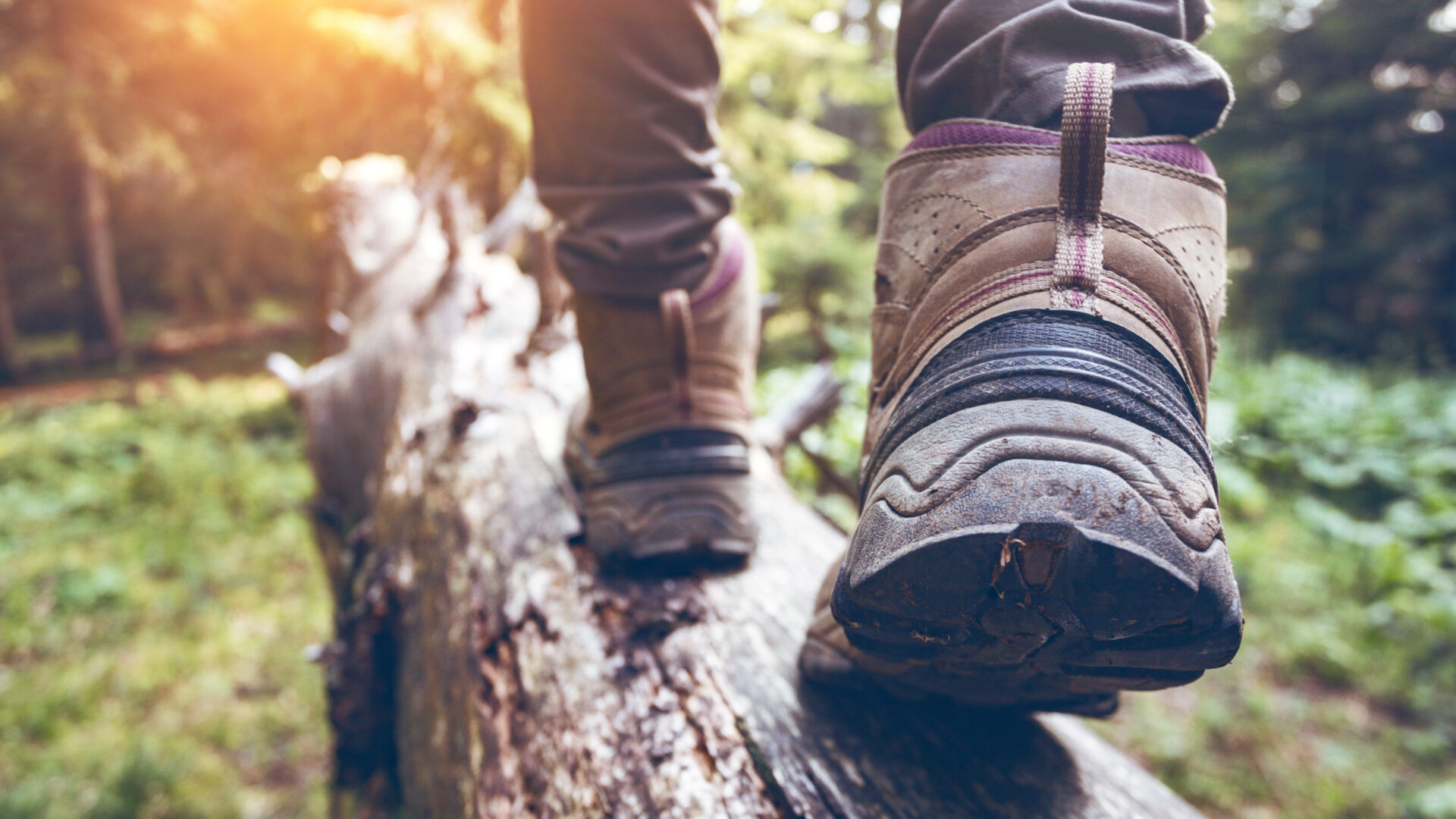 Photo Unsplash