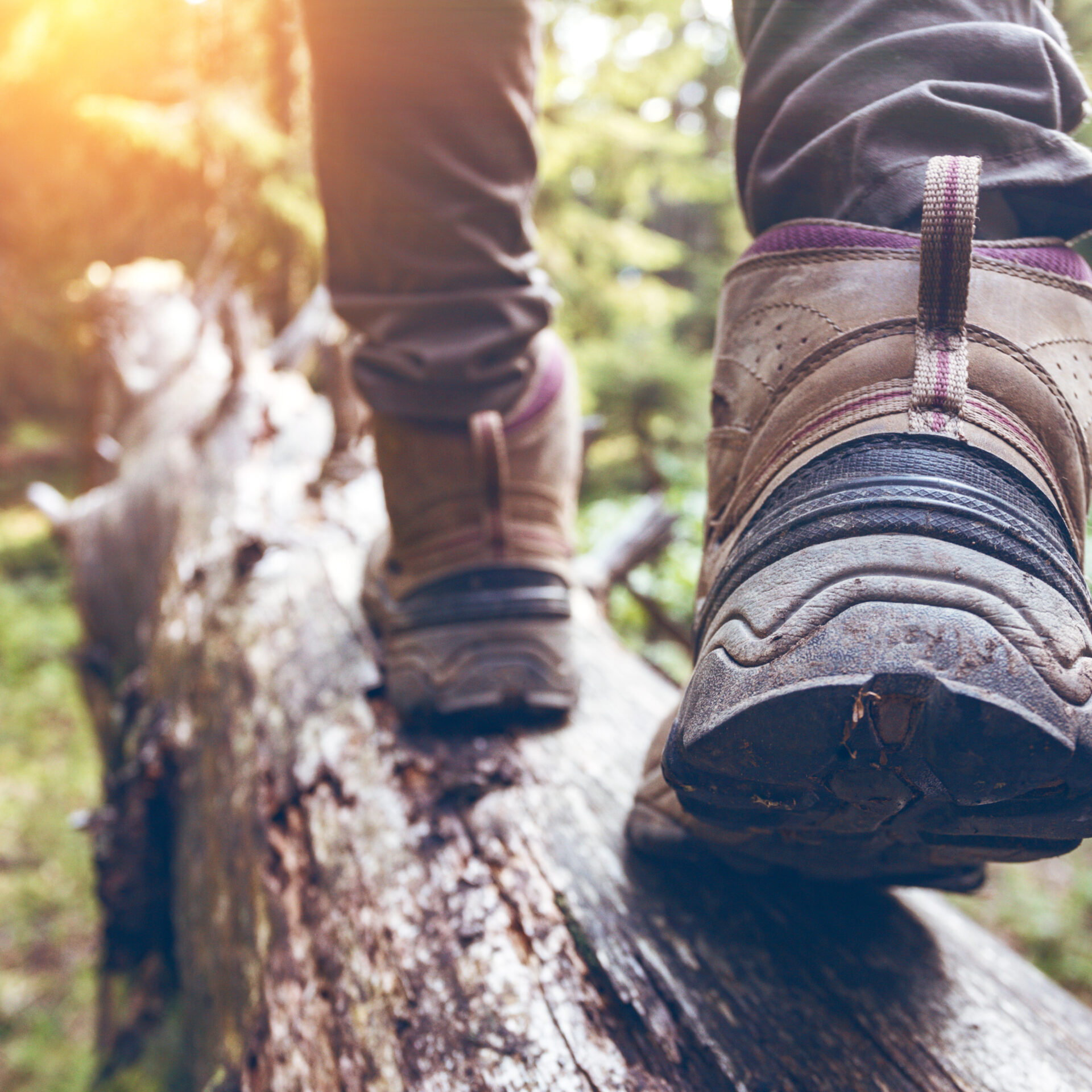 Photo Unsplash
