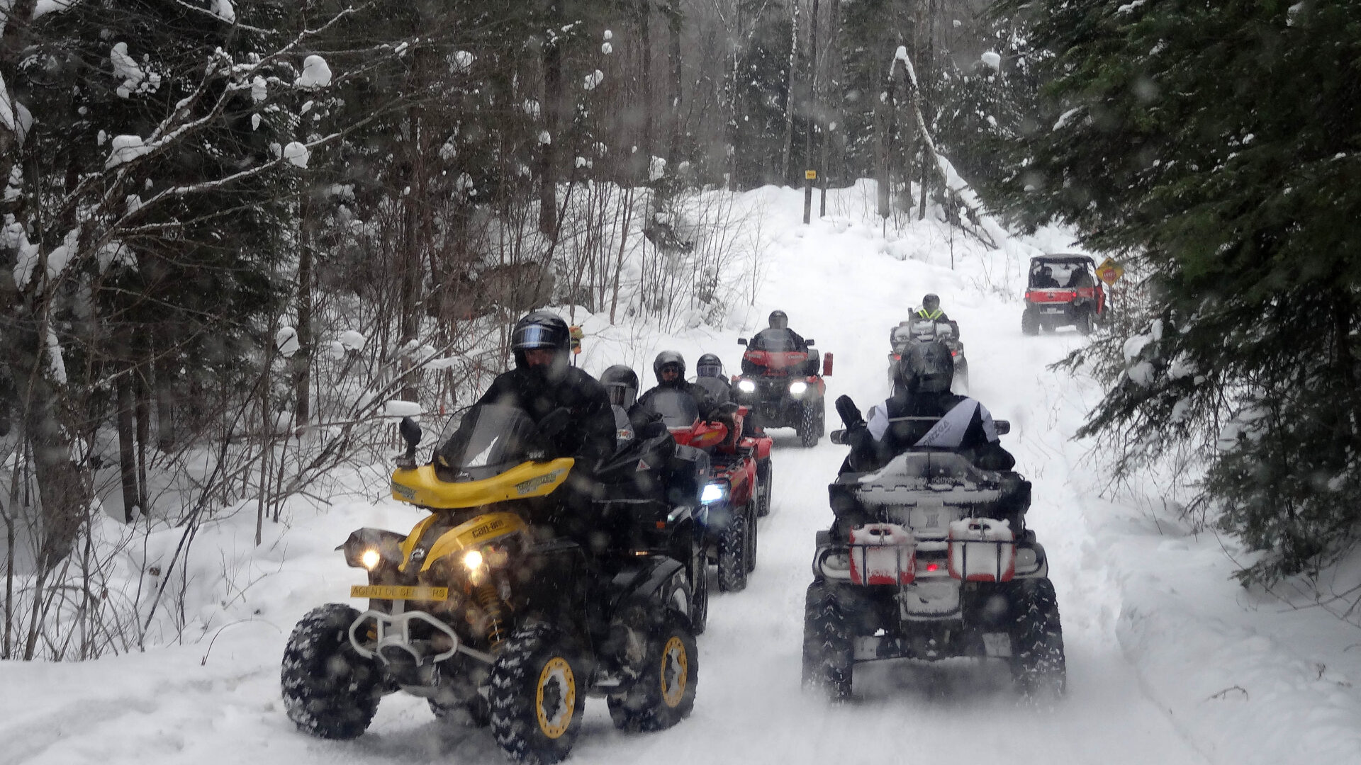 Photo Medialo - Archives