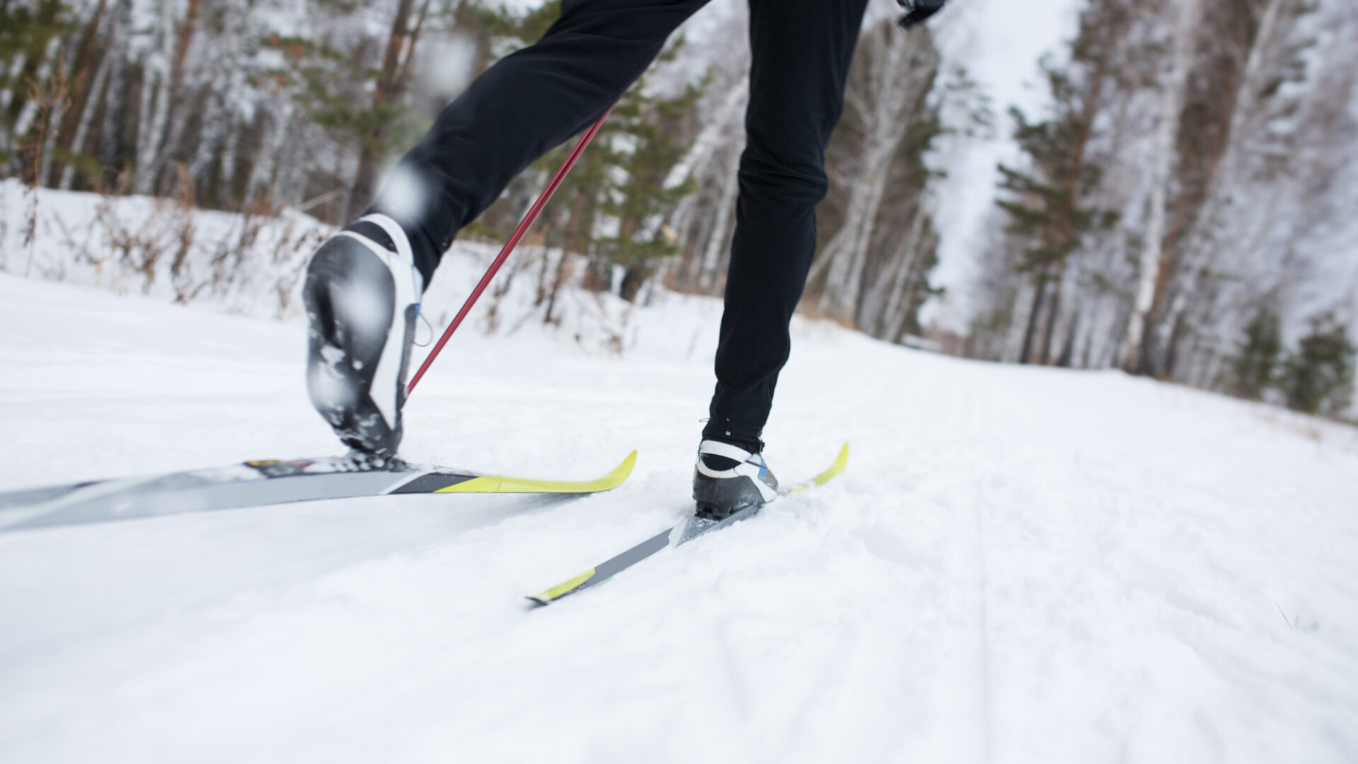 Photo Médialo — Archives