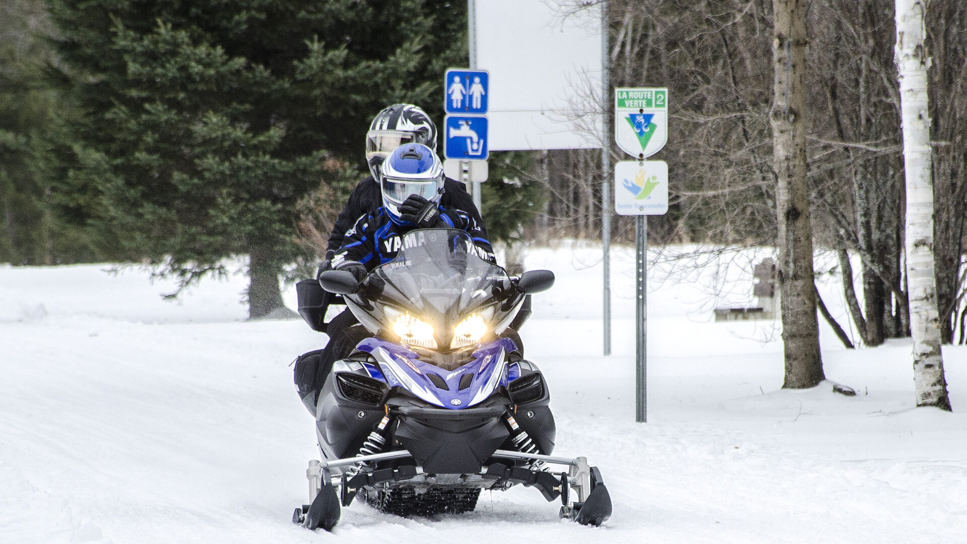 (Photo Medialo - Ronald McGregor)