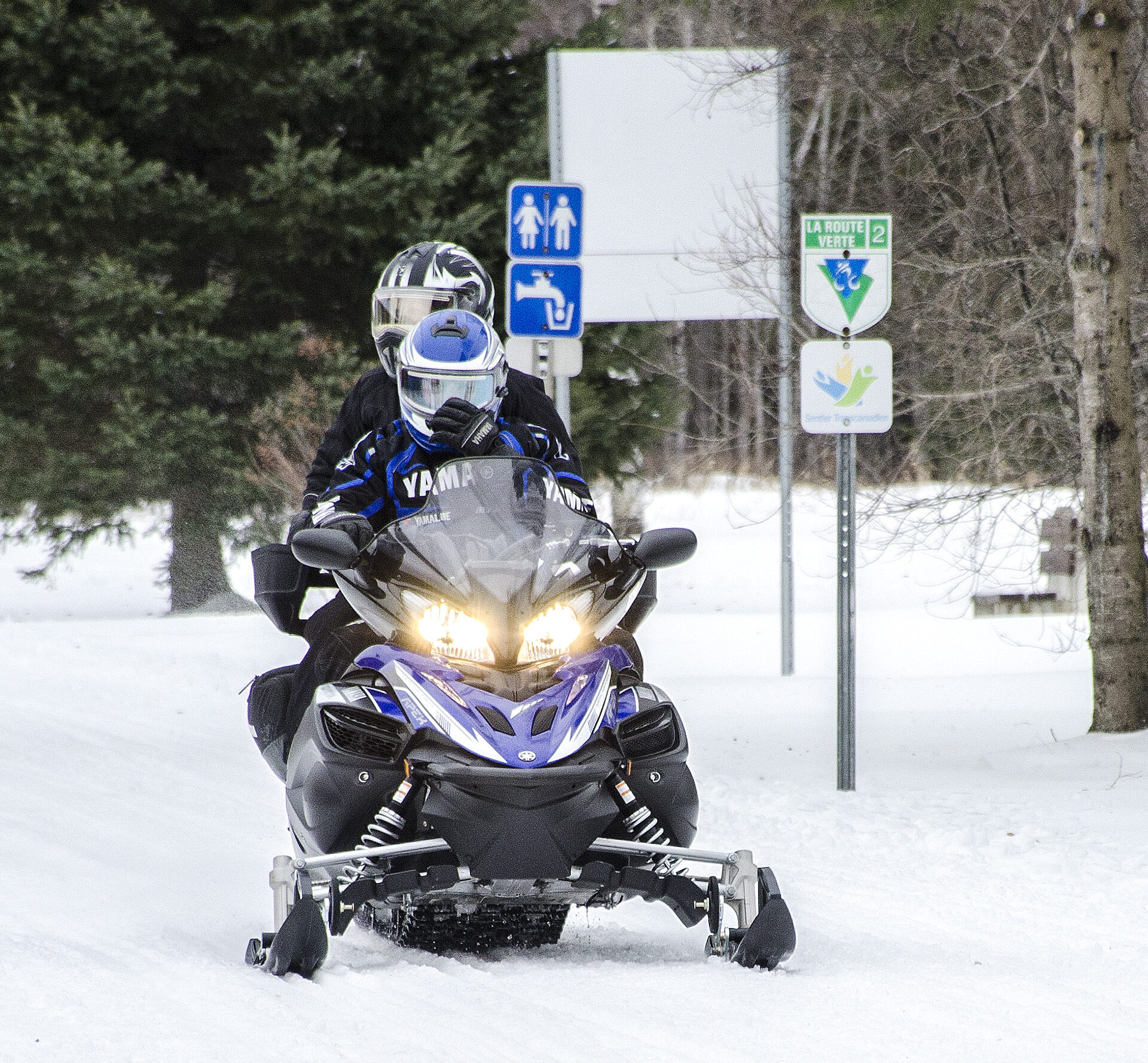 (Photo Medialo - Ronald McGregor)