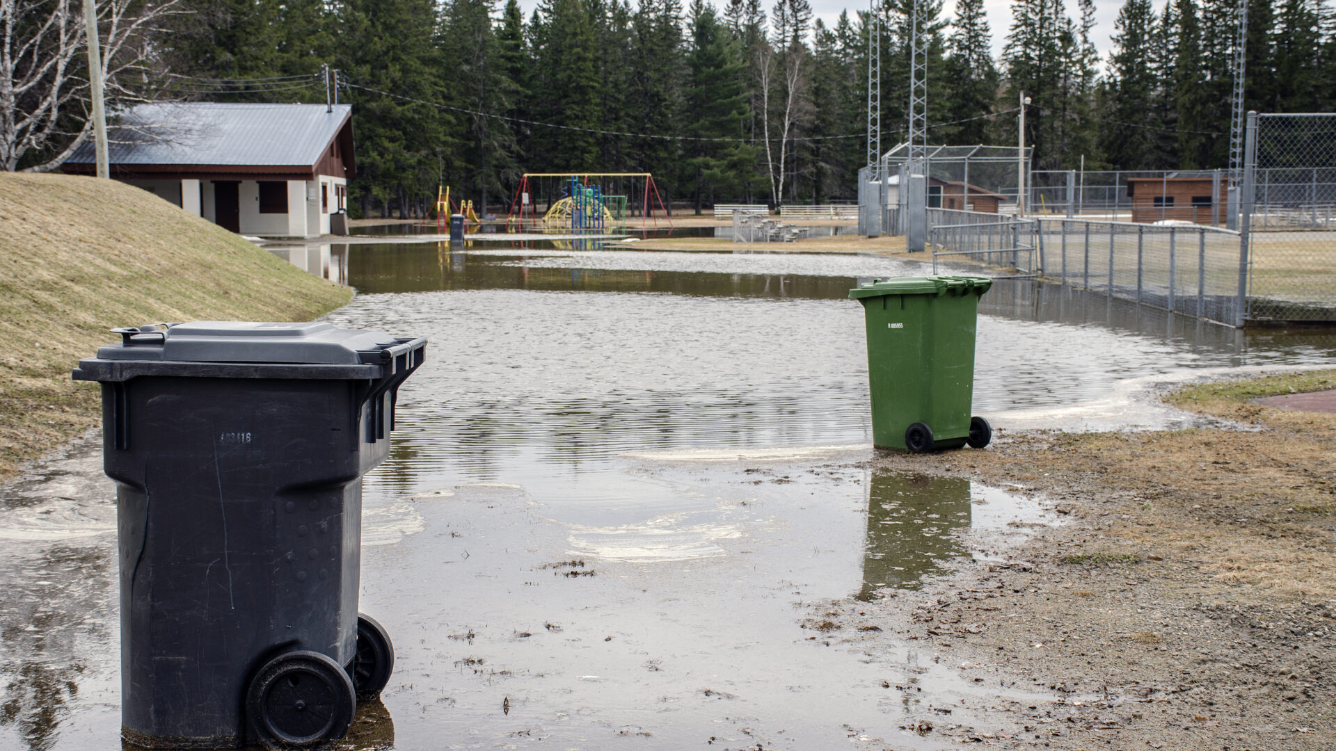 Photo Medialo - Ronald McGregor