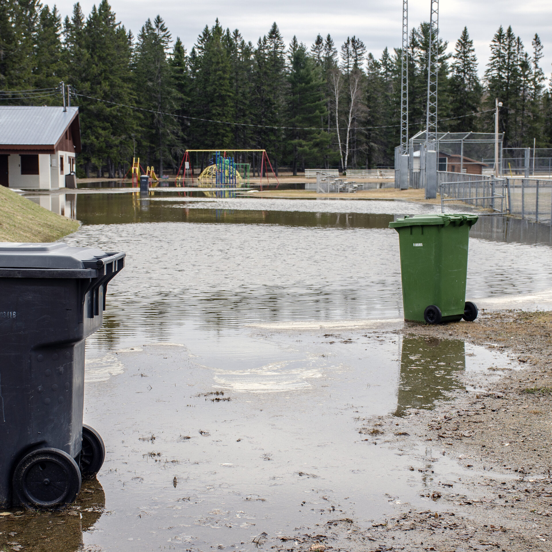 Photo Medialo - Ronald McGregor