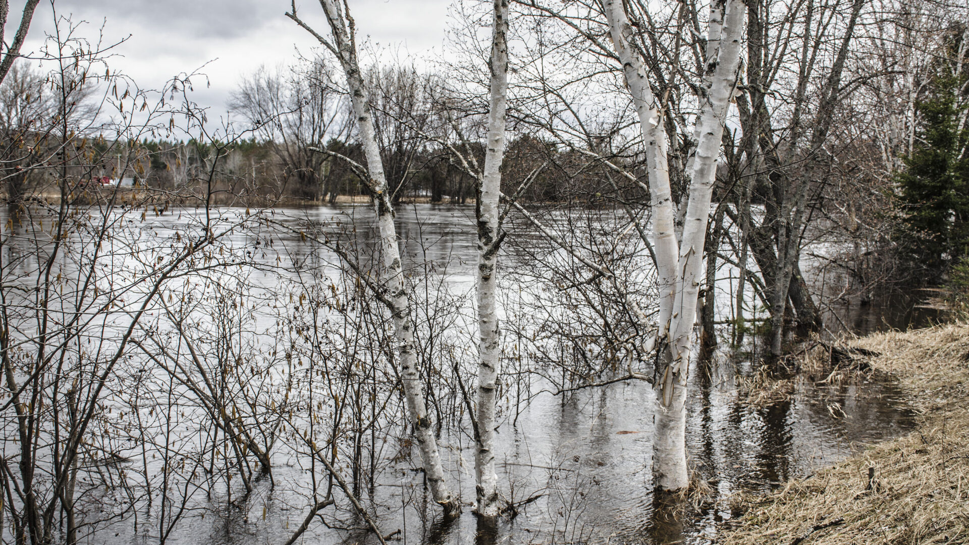 Photo Medialo Ronald McGRegor