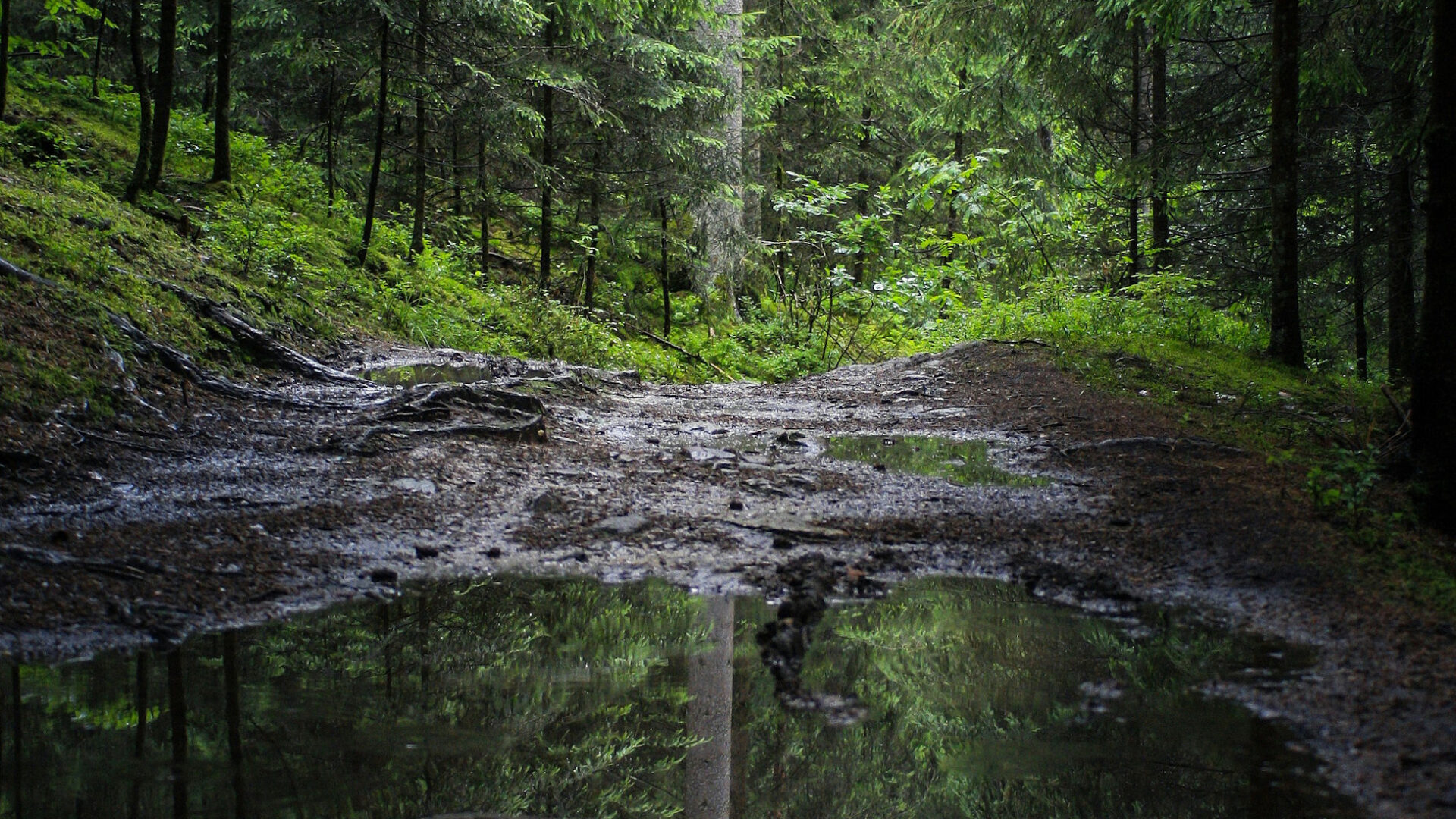 Photo Unsplash