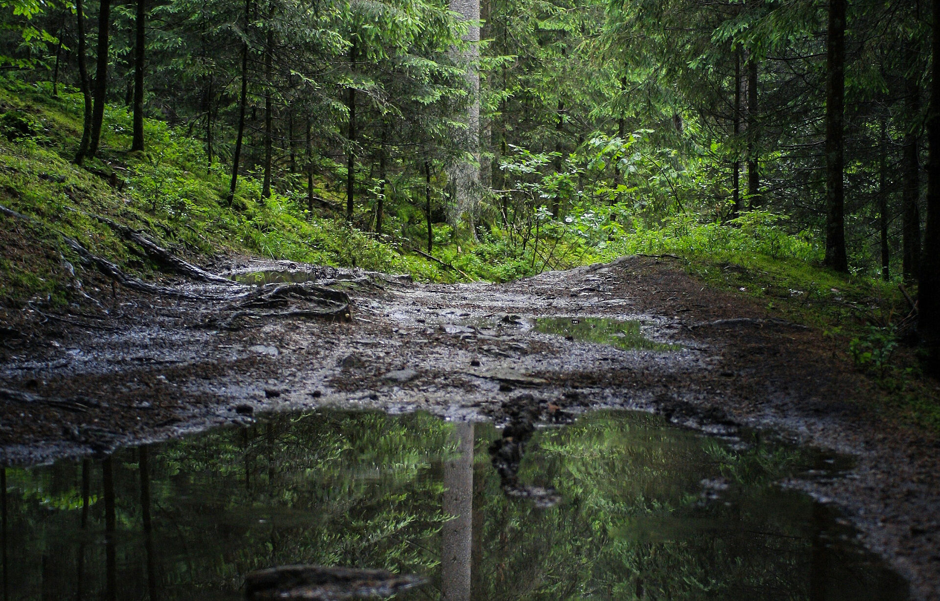 Photo Unsplash