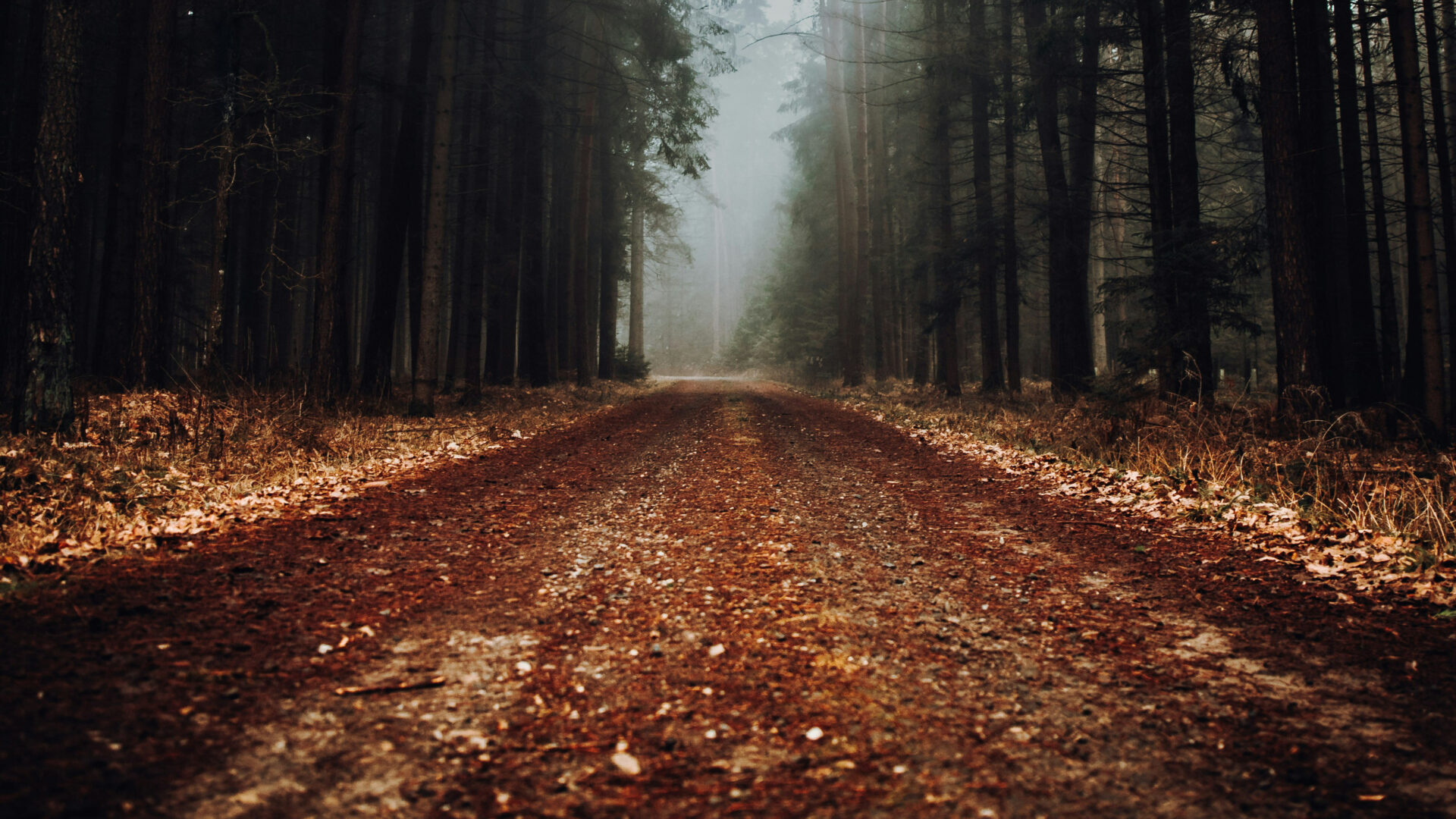 (Photo Unsplash)