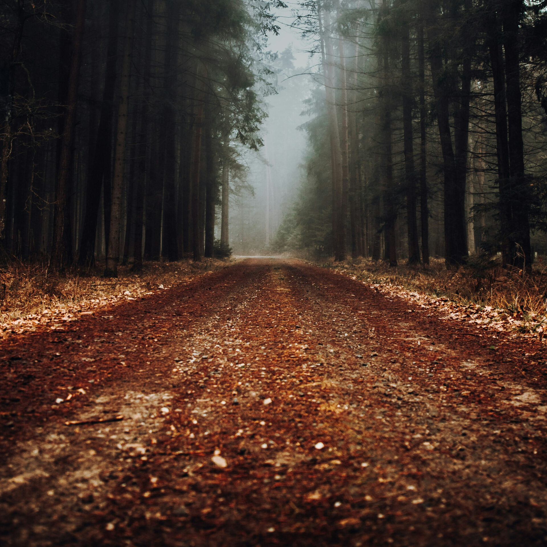 (Photo Unsplash)