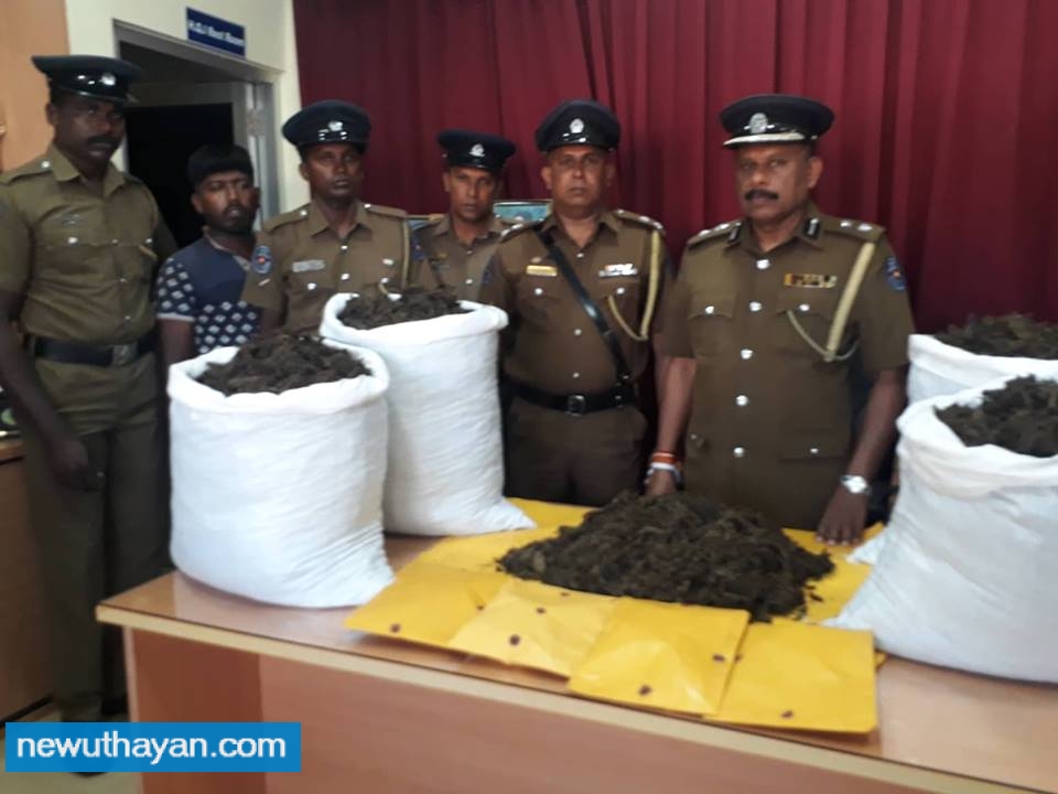 50705137_336696730272244_609245079916878