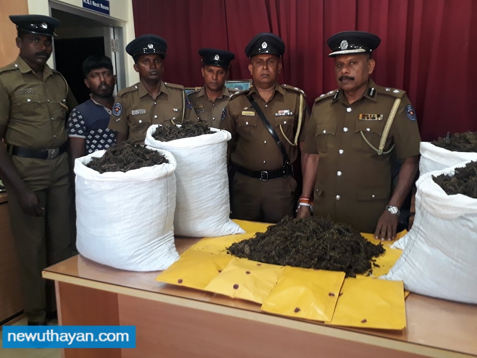 50770282_2755747987897563_49737623700494