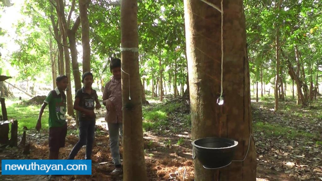 IMG-79984a2c17aeb54ebde2731567d9b165-V.j