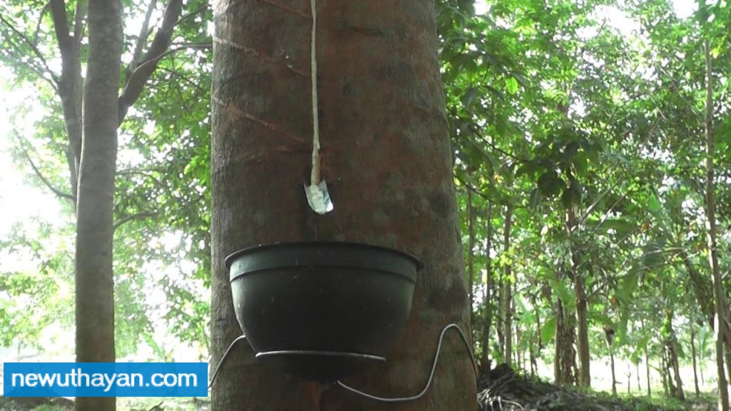 IMG-4557341bfb597500f6a5d21b2f8e6099-V.j