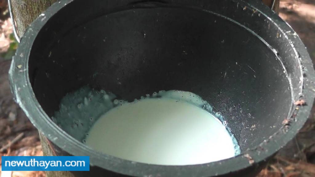 IMG-d762d495dc9a0e3a164794a0cd2acc1c-V.j