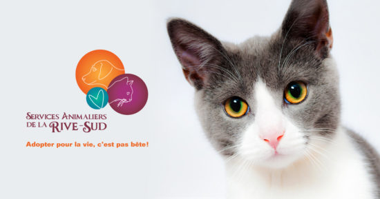 logo services animaliers rive-sud