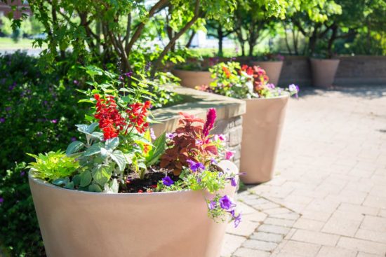 pots fleuris