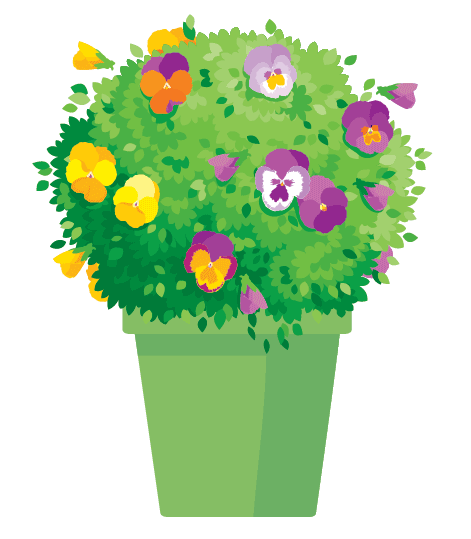 dessin pot de fleur