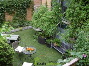 jardin des urbainculteurs