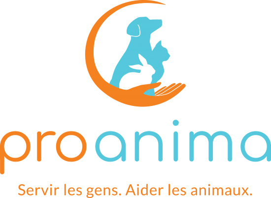 logo proanima