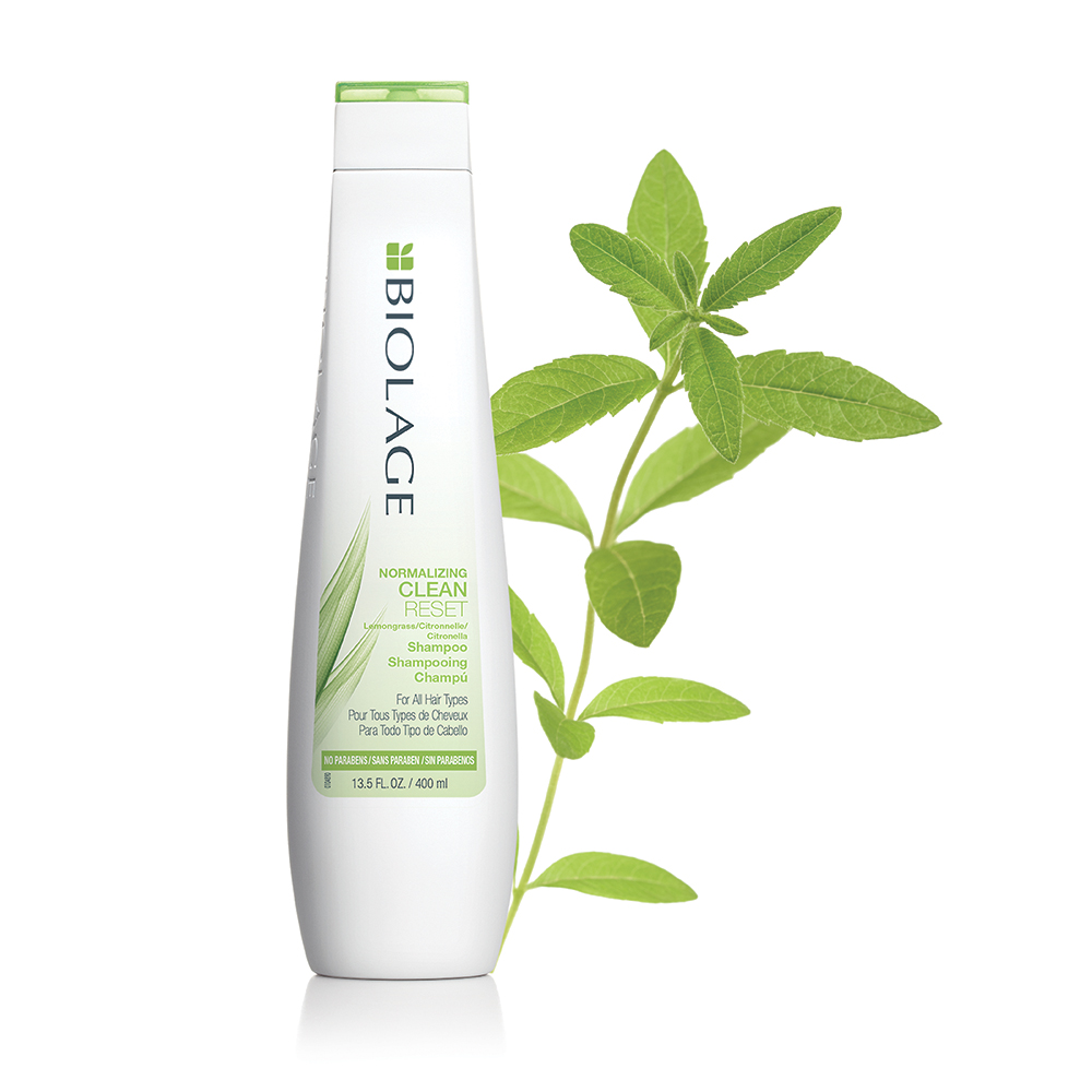 Cleanreset