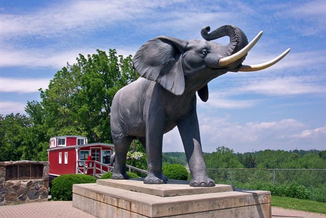 Jumbo elephant statue- St. Thomas, Ontario