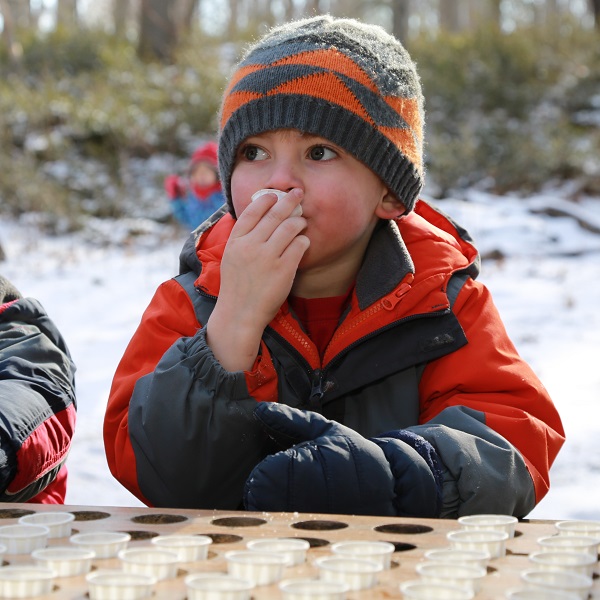 small boy samples maple syrup at bruces mill conservation park