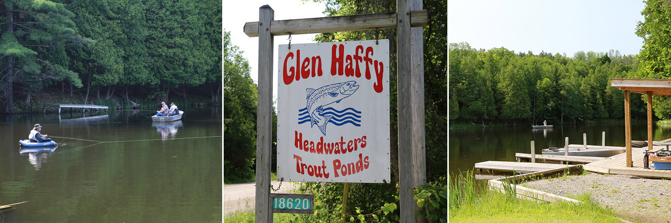 Headwaters trout ponds at glen haffy conservation area