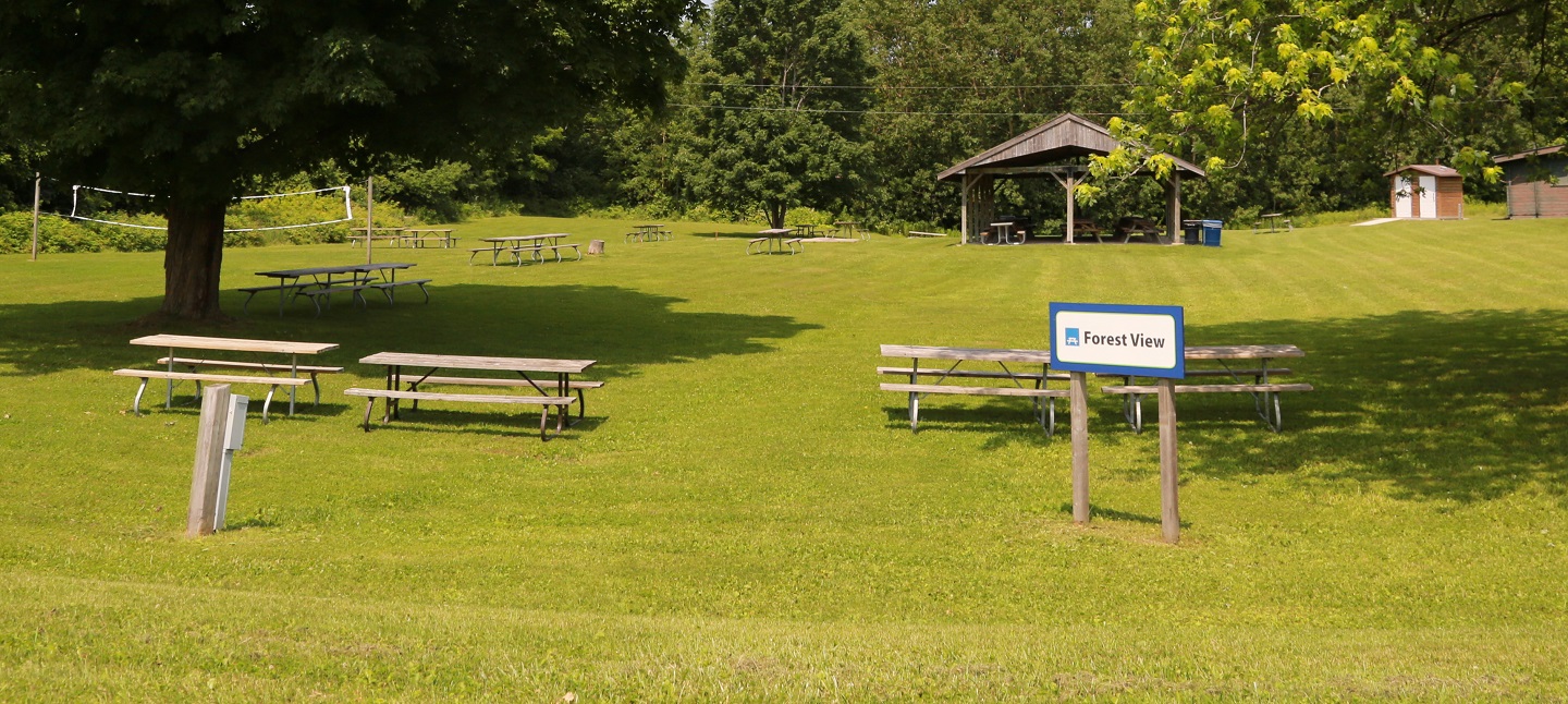 picnic area at glen haffy conservation area