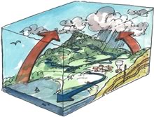 Watershed Cross Section