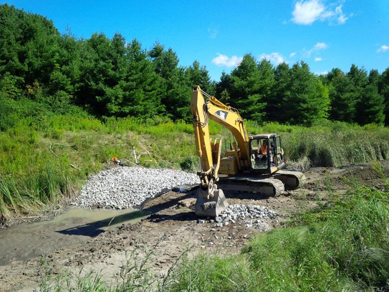 Check dam construction