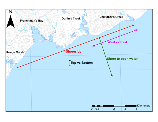 Lake Ontario Waterfront nearshore monitoring water quality patterns